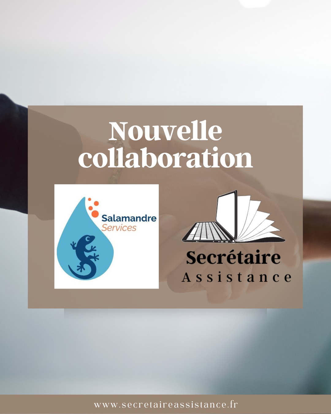 Salamandre Services - Nettoyage Montpellier