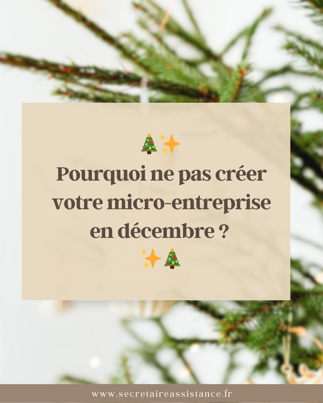 Je crée ma micro-entreprise en décembre